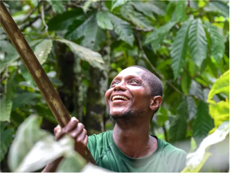 Organic African Chocolate